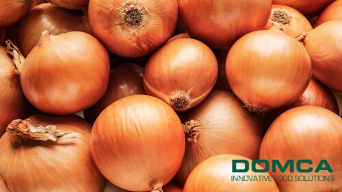 cebolla-sustancia-basica-agricultura-domca.jpg