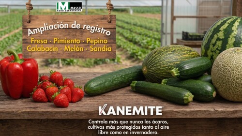 kanemite-control-acaros-horticolas-invernadero-aire-libre.jpg