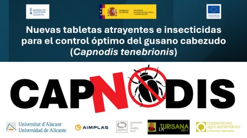 capnodis-control-gusano-cabezudo-frutales-hueso.jpg