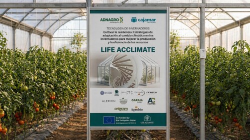 life-acclimate-cartel-invernadero-tomate.jpg