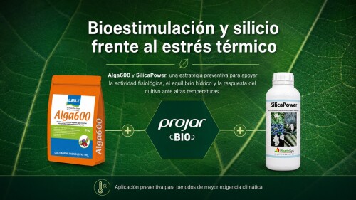 bioestimulacion-silicio-estres-termico-projar.jpg