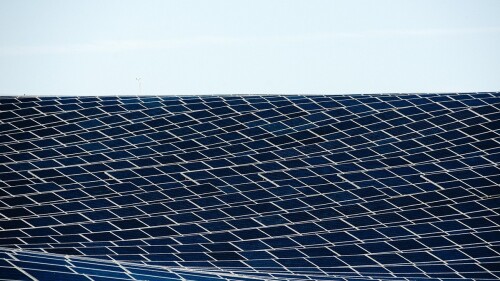 Agrovoltaicos.jpg