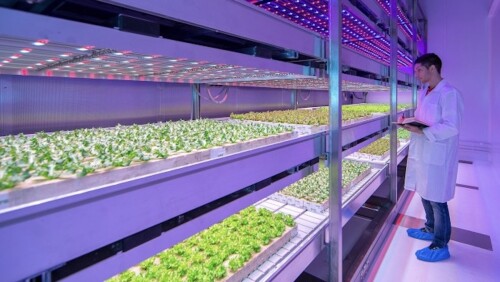 como-medir-la-luz-de-cultivo-con-precision-2.jpg