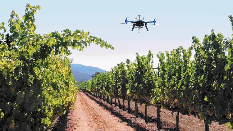 Drones-agricultura