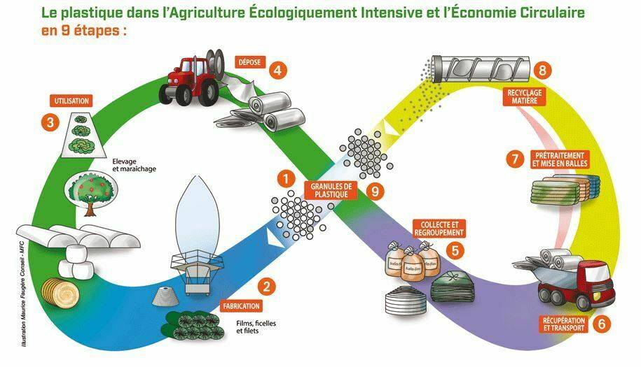 Plastico-economia-circular