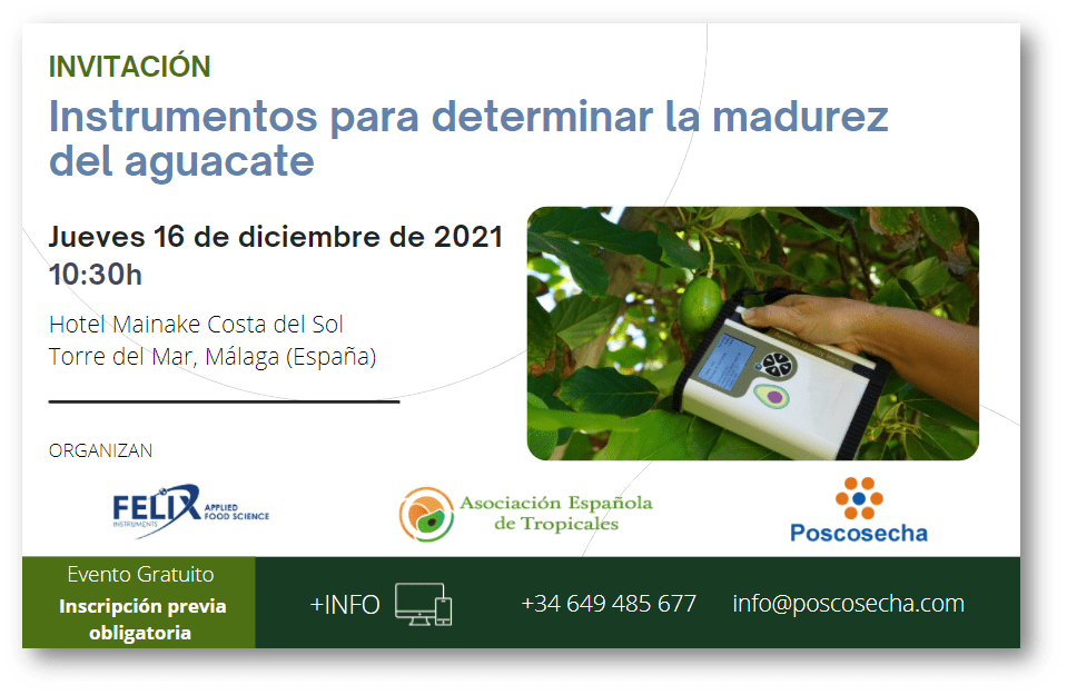 felix-instrument-evento-aguacate-malaga