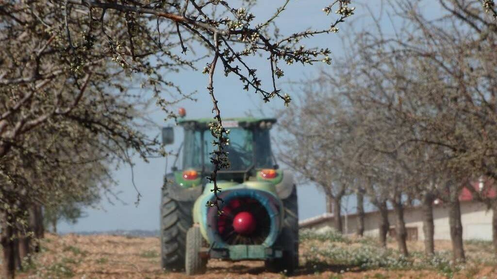 certis-dinamite-frutos-secos