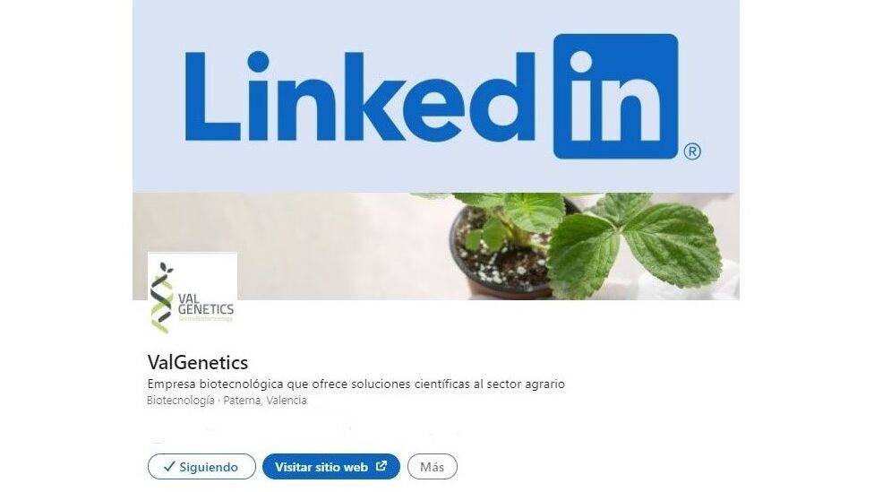 valgenetics-linkedin