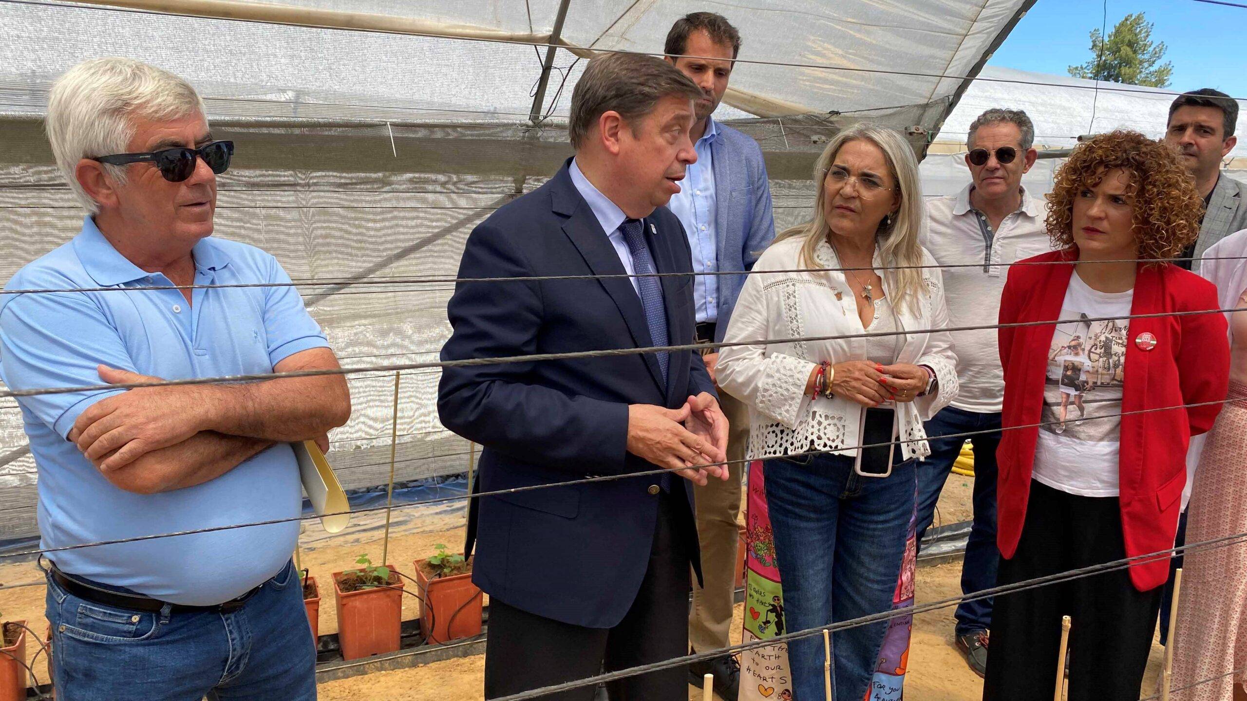 berries-huelva-desventaja-fitosanitarios