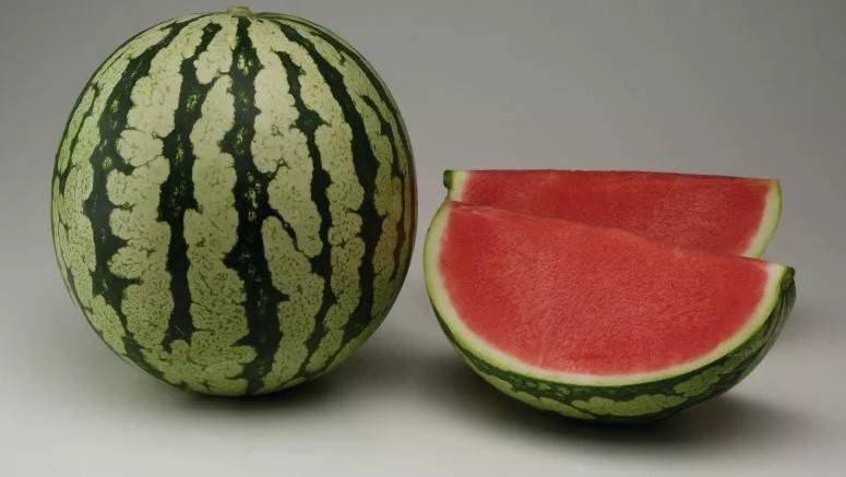 Sandia-benganla-basf-nunhems