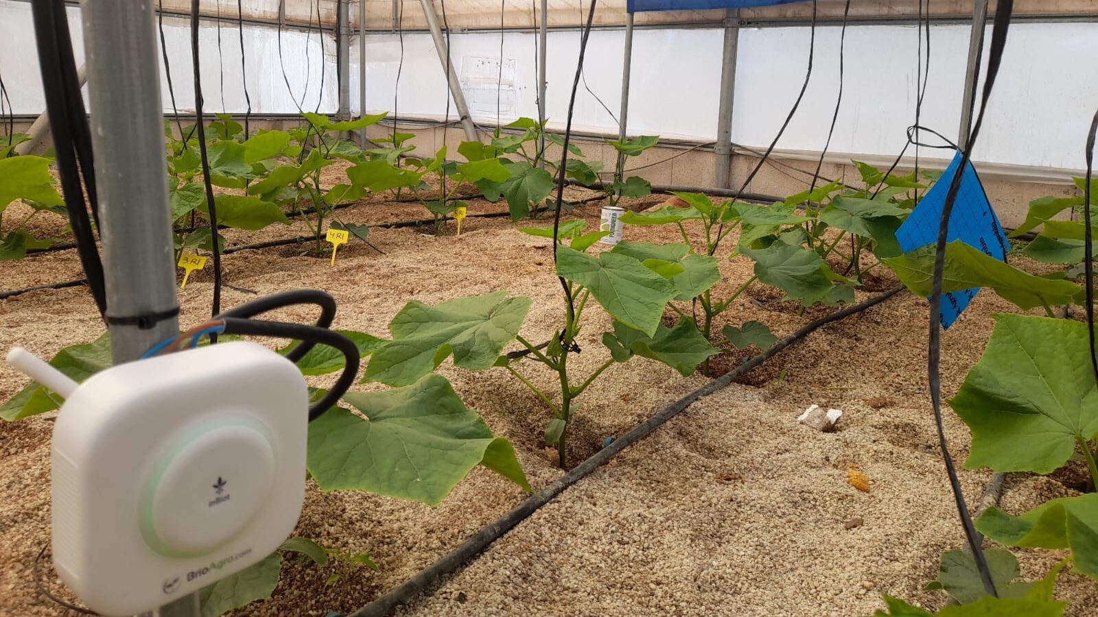 masso-NextFUMIGREEN_visita_Tecnova_905