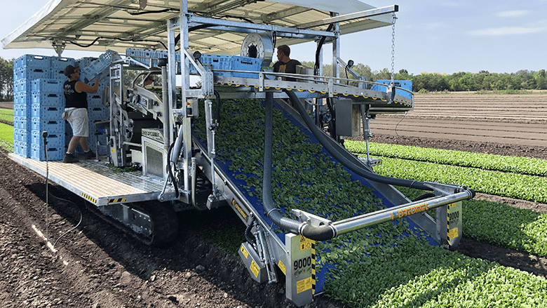 ortomec-cosechadora-verduras-hoja