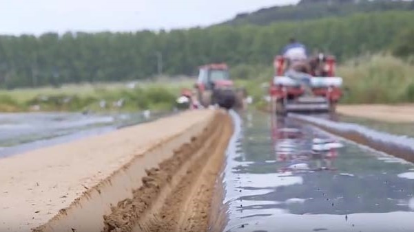 Acolchado-Mater-Bi-novamont