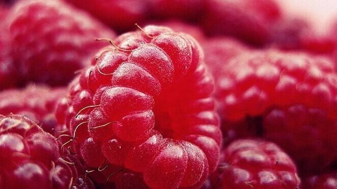 frambuesas-anticancerigenas