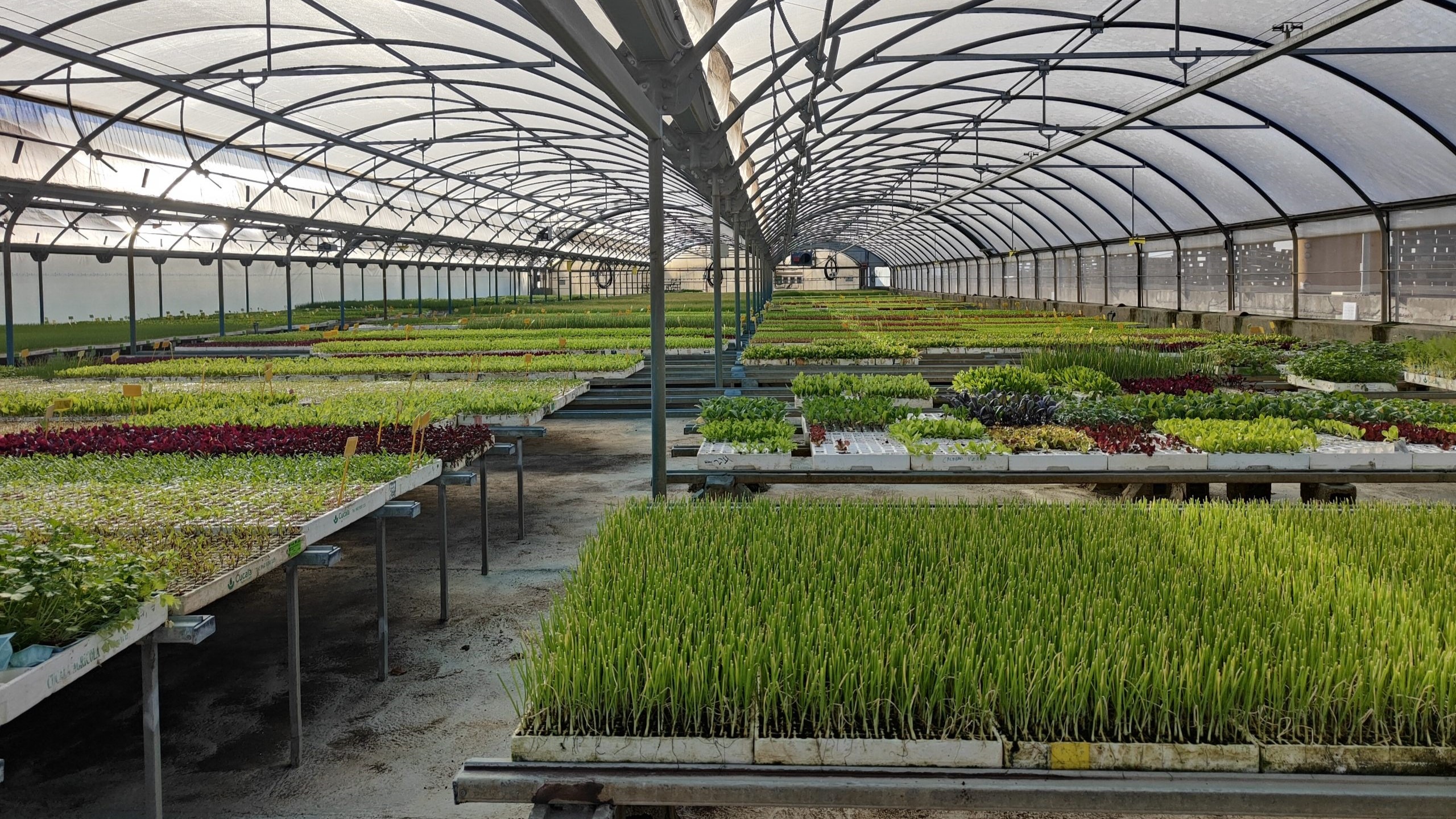 aquactiva-solutions-aqua-fong-scaled