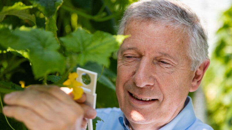 csm_Paul_Koppert_56c54ee69e