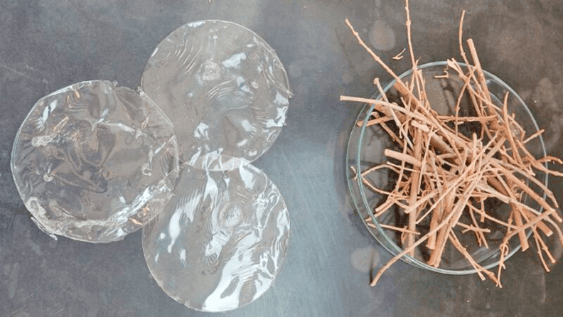 web_bioplastico_3_0b5380d9df