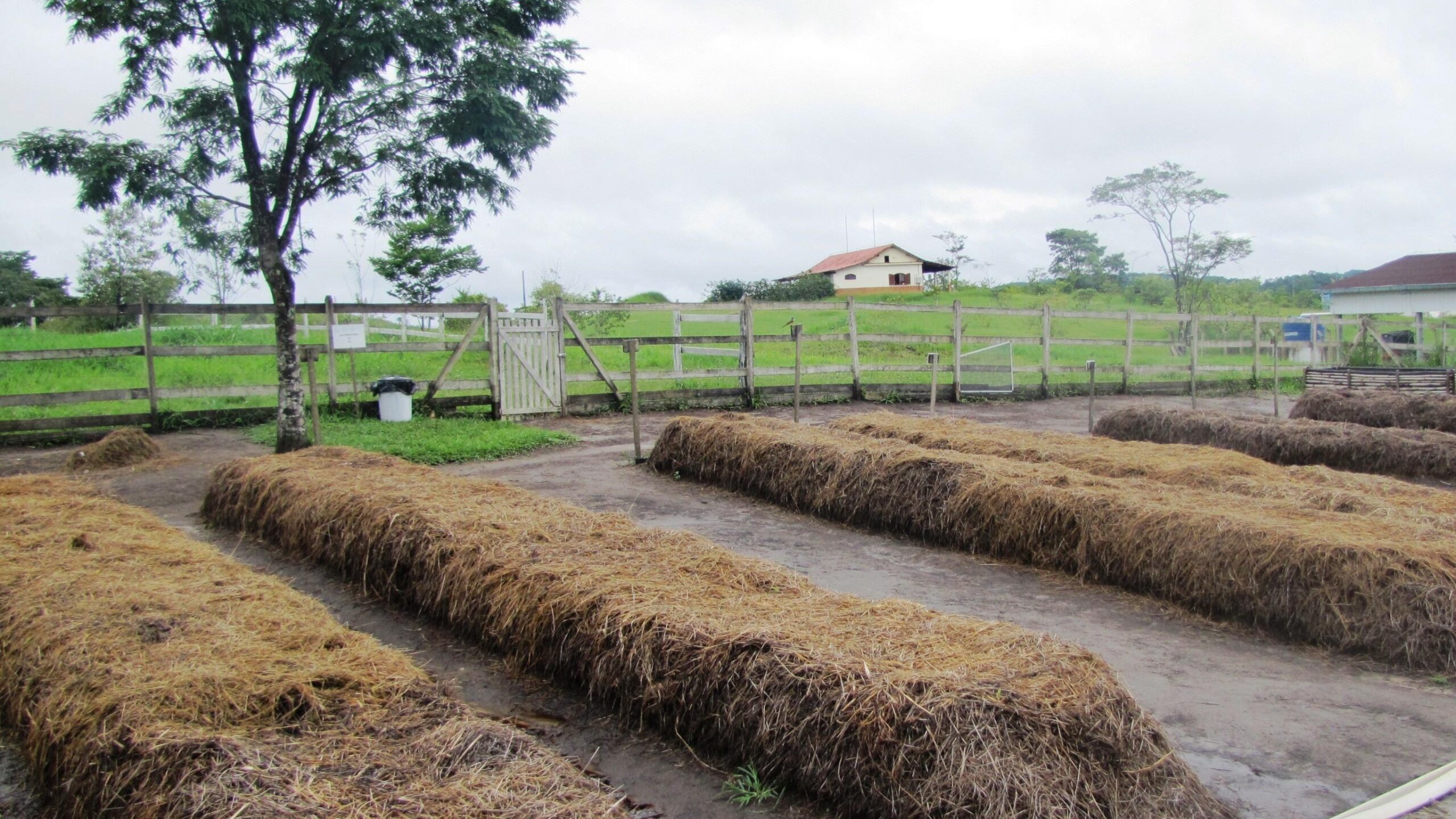 beacompostagem_embrapa_1659813931284