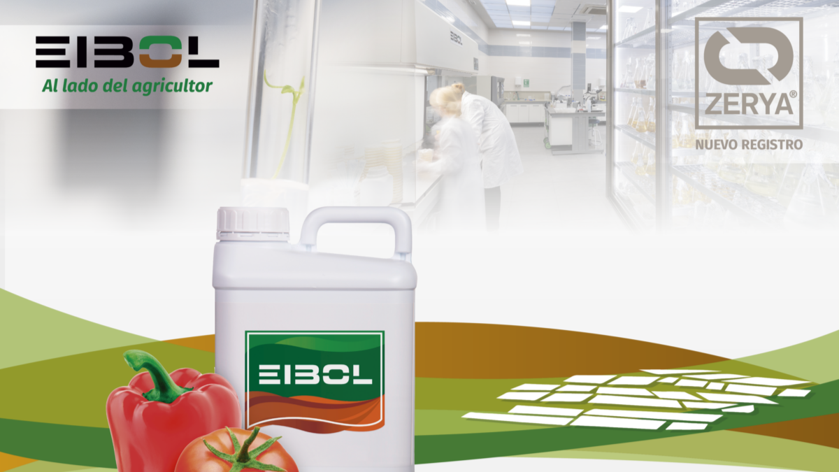 Colaboracion-EIBOL_ZERYA-e1727683339669-1200x776