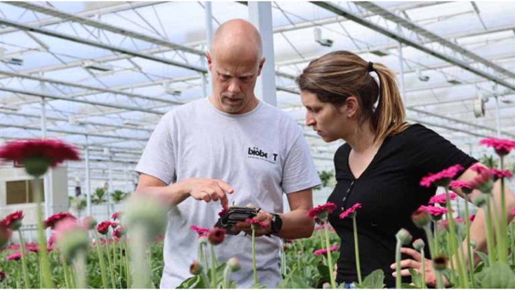 Crop-Scanner-Cover-Foto