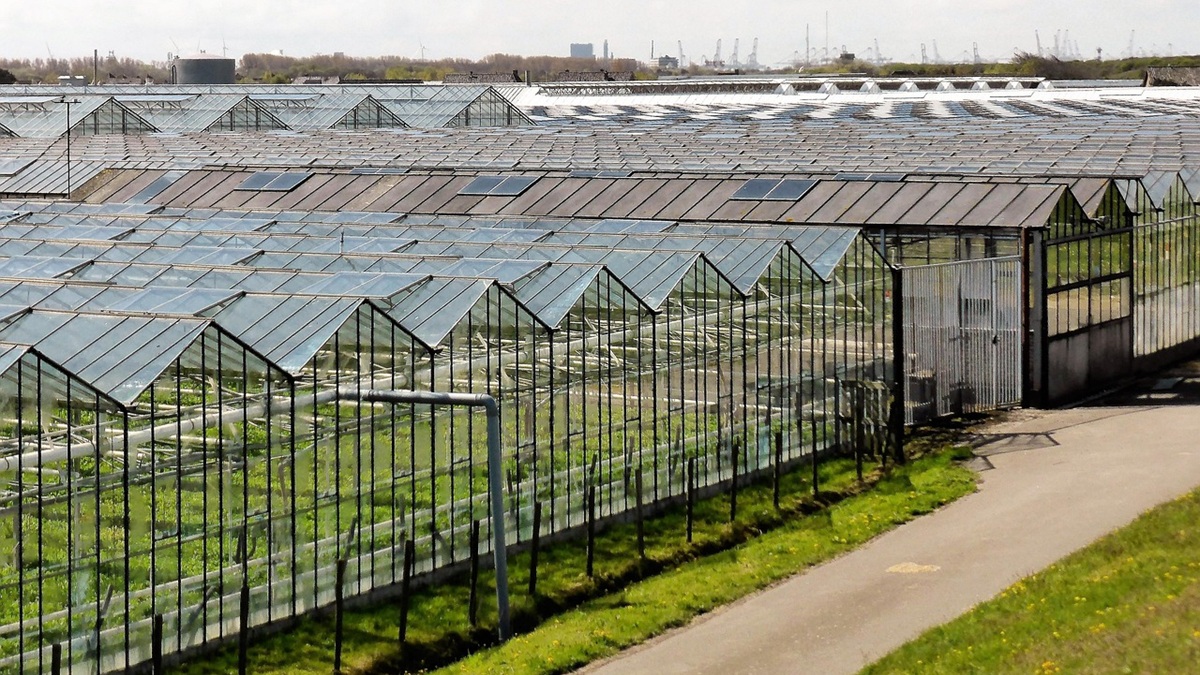 horticulture-2779709_1280