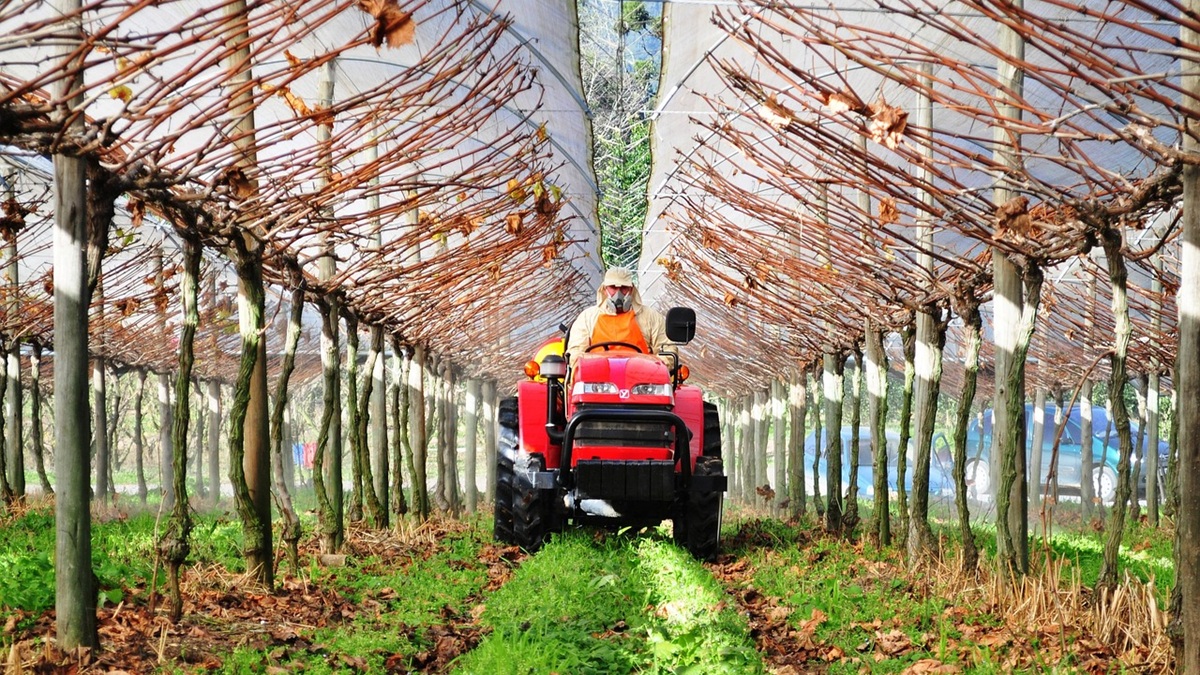 tractor-5310949_1280