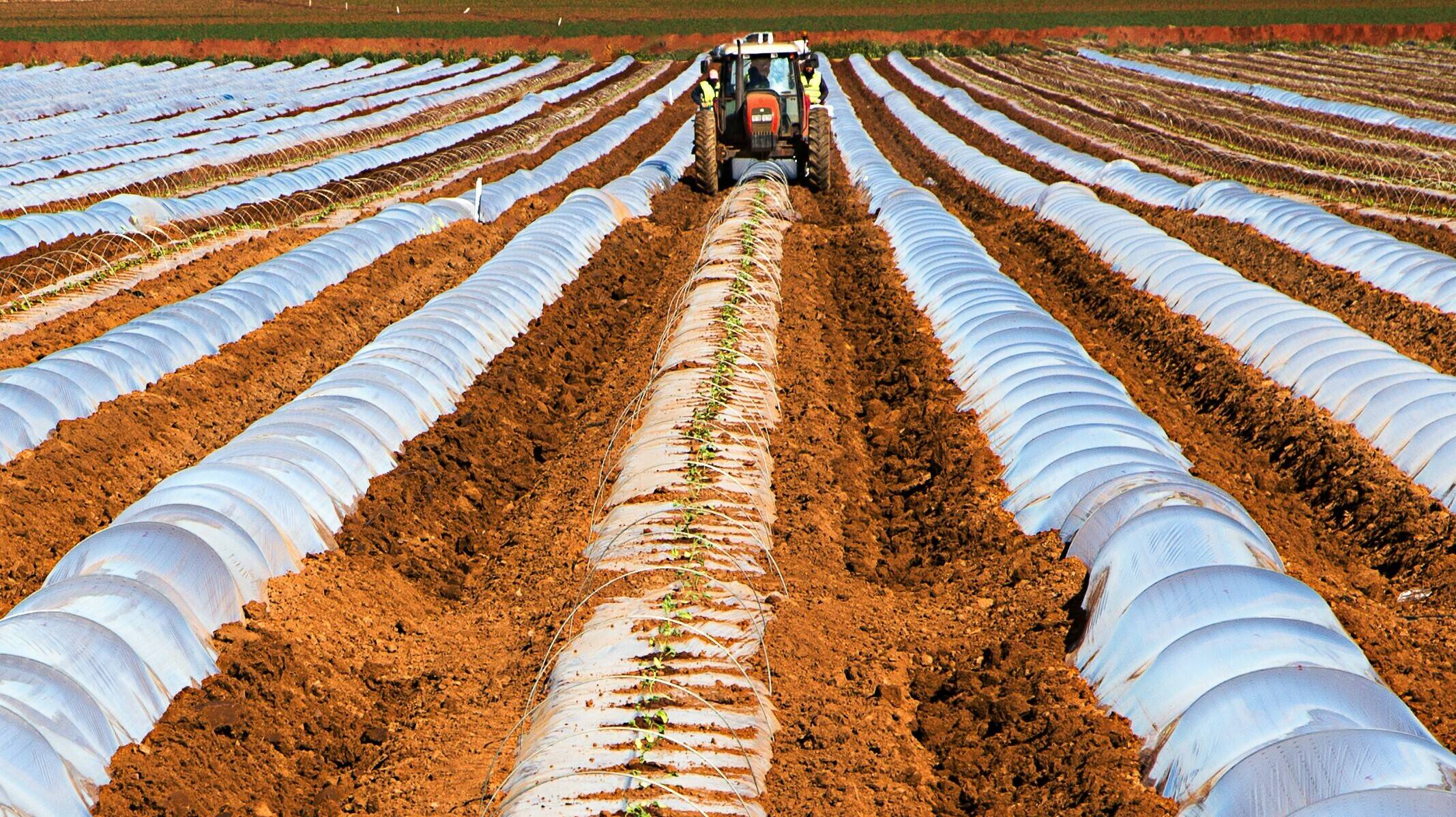 suelo-conservacion-agricultura-dsertificacion