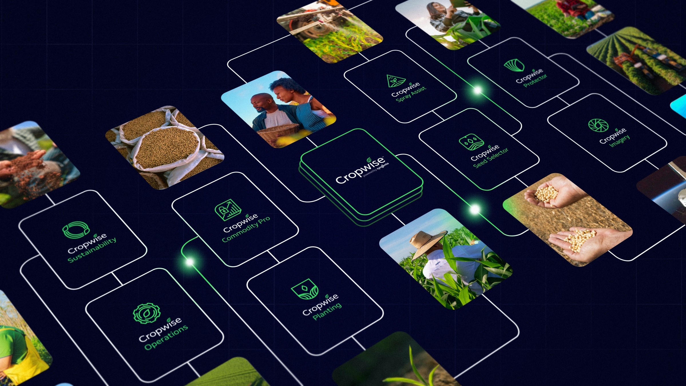 Syngenta-big-view-cropwise