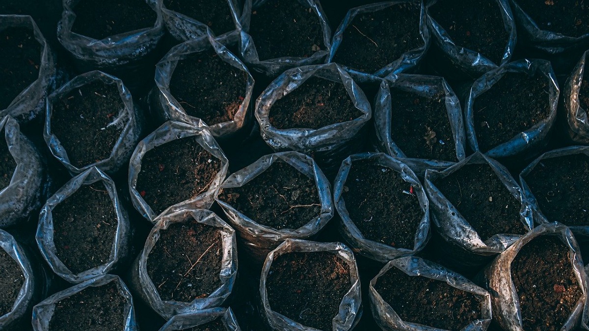 soil-7987444_1280