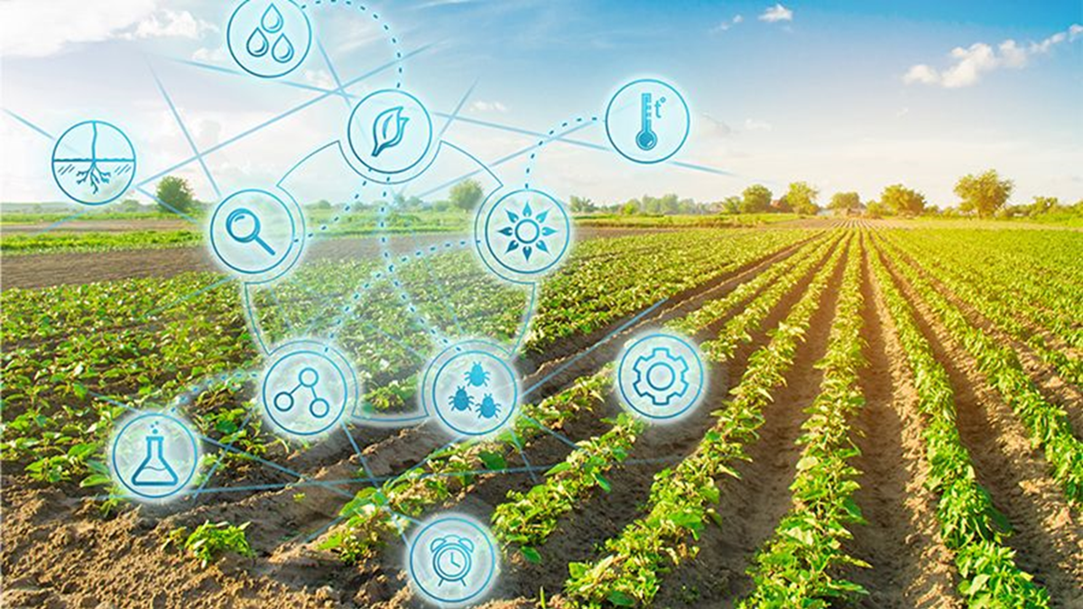 La transformación digital en la agricultura española