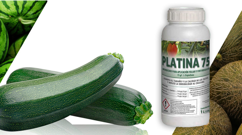 PLATINA-75.jpg