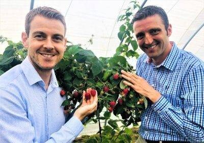 Global Plant Genetics and James Hutton Showcase New Raspberry Selections
