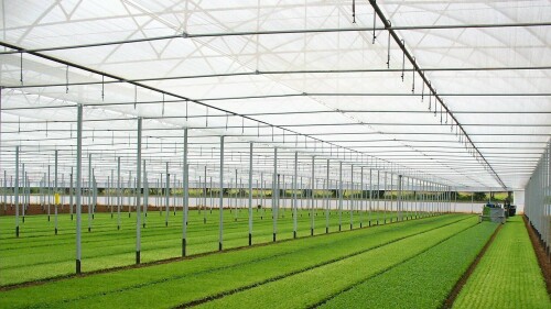 Especialidades de agrotextiles Arrigoni: Protecta®, Prisma® y Biorete ...