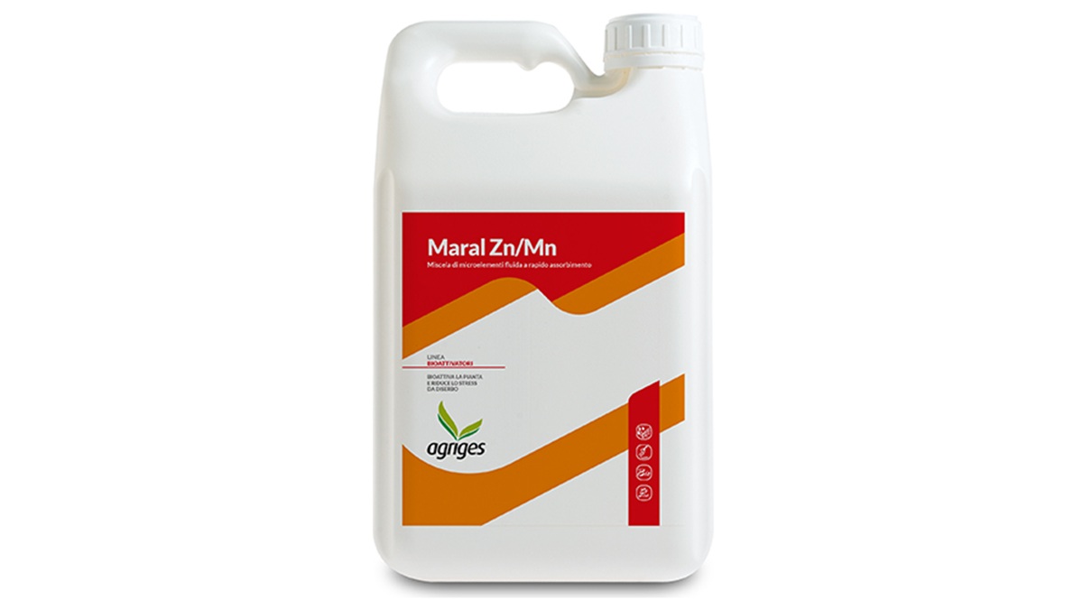 maral_zn_mn