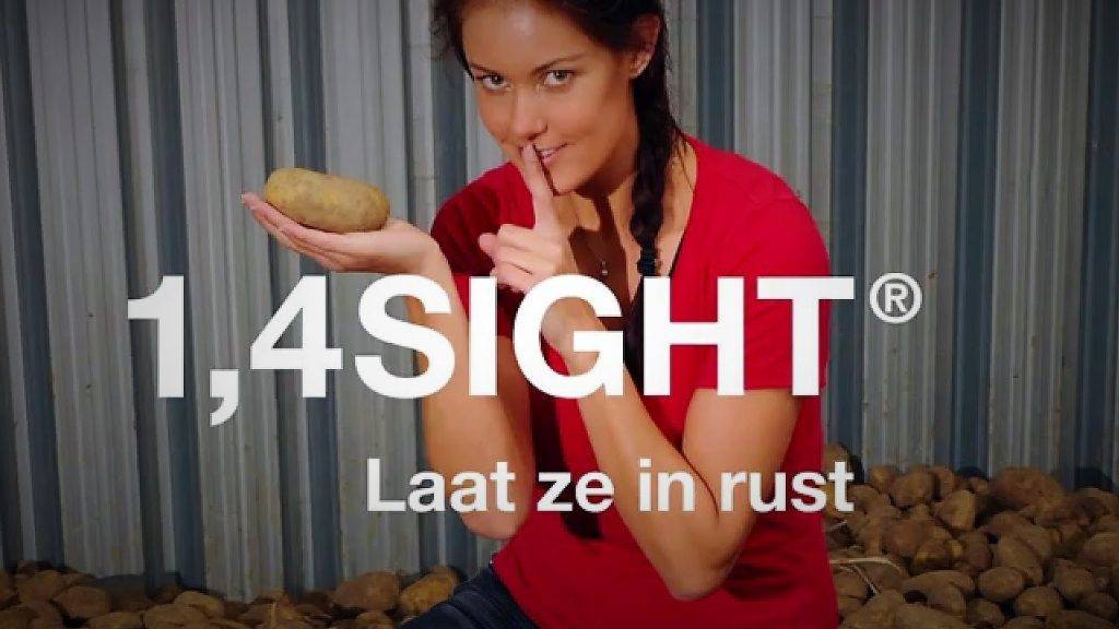 basf-sght-3