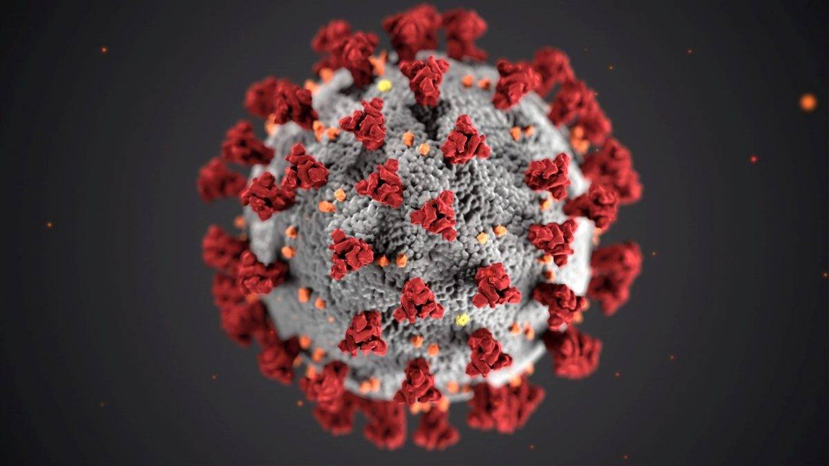 virus-disease-control-US