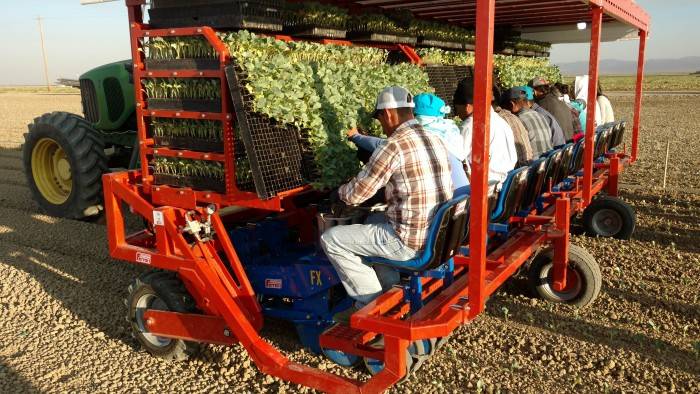 fx-transplanter-img-principal.jpg