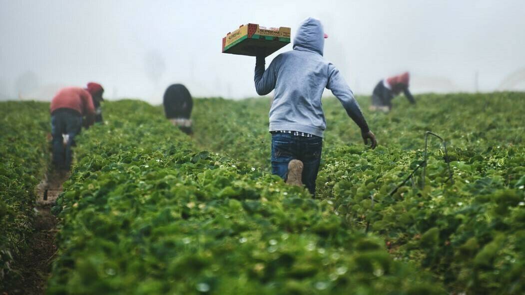 farmers-Tim-Mossholder-UNS