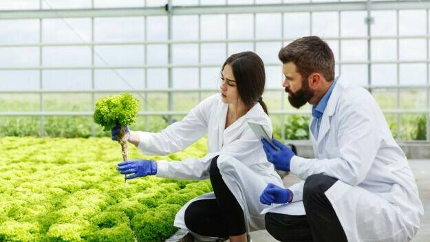 master-interuniversitario-sanidad-vegetal