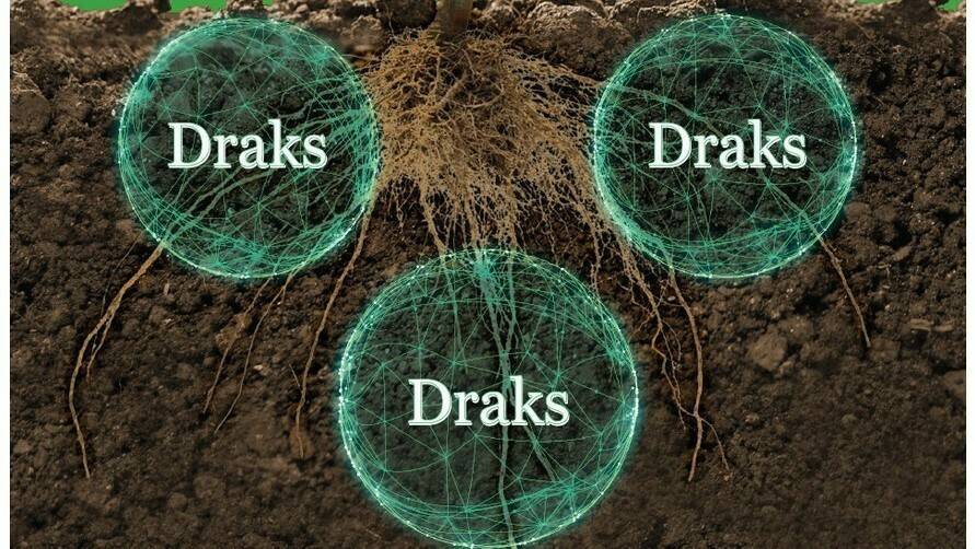 agriges-draks-raices