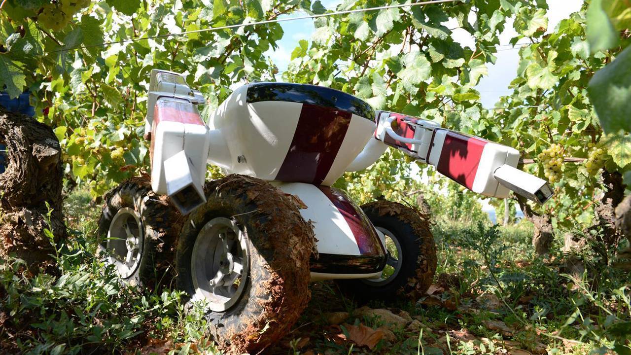 Robótica-agricultura-tecnologia