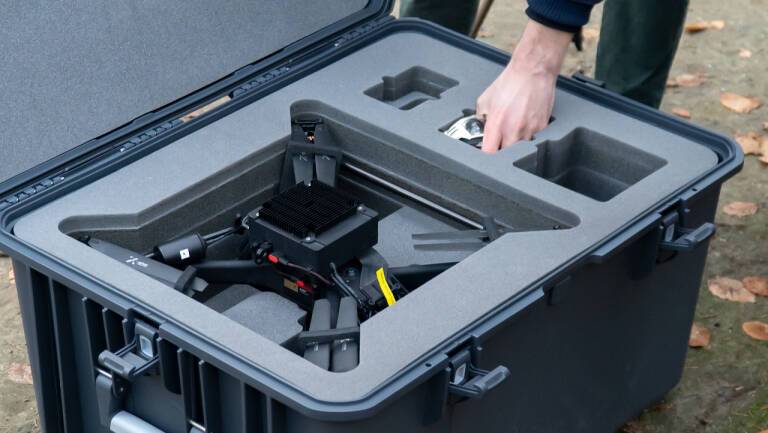 drones-upv-frutos-silvestres