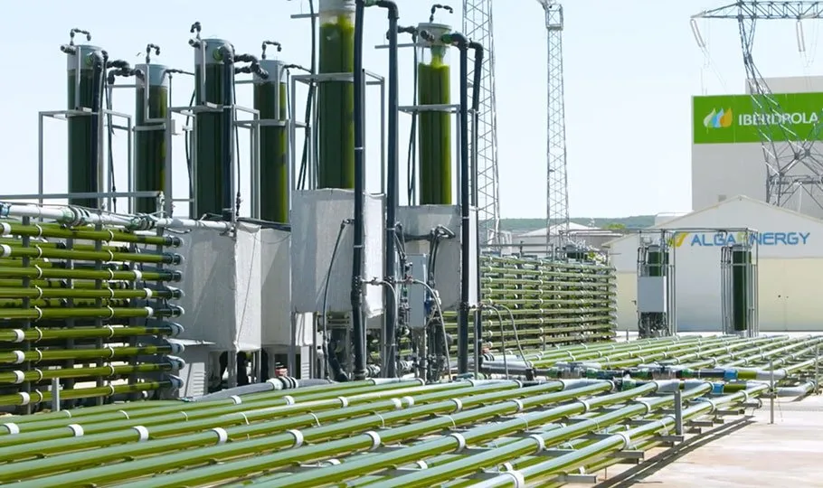 AlgaEnergy
