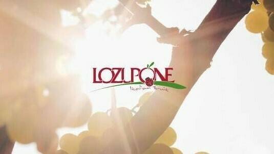 lozupone
