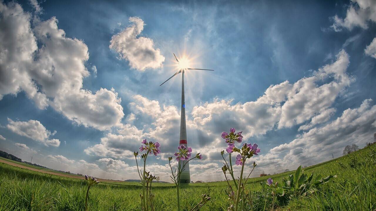 medioambiente