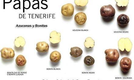 Investigación sobre la cebolla y la patata en Canarias
