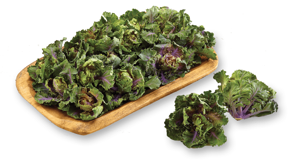 Kalettes®, la nueva forma de consumir kale