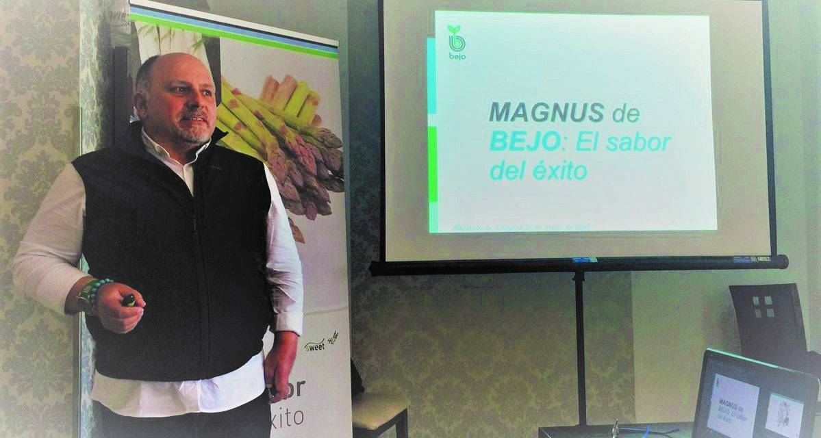 Magnus, un espárrago verde de éxito para el agricultor y con gran sabor