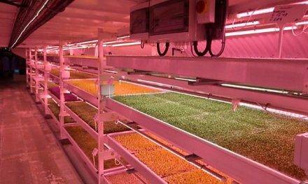 El espectro LED AP67, potenciador de la fotosíntesis, para el cultivo hortícola bajo cámara