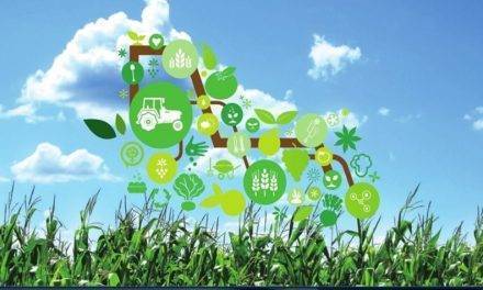 La Smart Agrifood un camino hacia a transformación digital en la agroalimentación